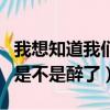 我想知道我們是不是醉了意思（我想知道我們是不是醉了）