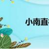 小南直村（關于小南直村簡介）