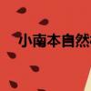 小南本自然村（關于小南本自然村簡介）