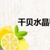 干貝水晶鴨（關于干貝水晶鴨介紹）