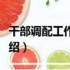 干部調配工作規定（關于干部調配工作規定介紹）