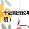 干細胞理論與技術（關于干細胞理論與技術介紹）