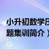 小升初數學壓軸題集訓（關于小升初數學壓軸題集訓簡介）