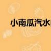 小南瓜汽水肉（關于小南瓜汽水肉簡介）