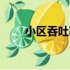 小區吞吐率（關于小區吞吐率簡介）
