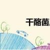 干酪菌屬（關于干酪菌屬介紹）