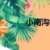 小南溝村（關于小南溝村簡介）