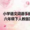 小學語文詞語手冊 六年級下人教版（關于小學語文詞語手冊 六年級下人教版簡介）