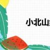 小北山組（關于小北山組簡介）