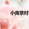 小南京村志（關于小南京村志簡介）