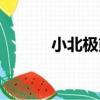 小北極熊（關于小北極熊簡介）
