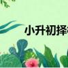 小升初擇校（關于小升初擇校簡介）