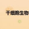 干細胞生物學（關于干細胞生物學介紹）