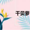 干貝蘿卜（關于干貝蘿卜介紹）