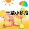 干草小多孢菌（關于干草小多孢菌介紹）