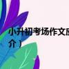小升初考場作文應試輔導（關于小升初考場作文應試輔導簡介）