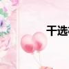 干選機（關于干選機介紹）