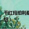 干紅瑪珀利桑葚酒（關于干紅瑪珀利桑葚酒介紹）