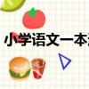 小學語文一本通（關于小學語文一本通簡介）