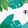 干紀（關于干紀介紹）