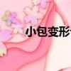 小包變形記（關于小包變形記簡介）