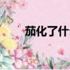 茄化了什么意思（茄化是什么意思）