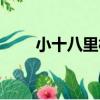 小十八里村（關于小十八里村簡介）