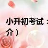 小升初考試：語文（關于小升初考試：語文簡介）
