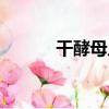 干酵母片（關于干酵母片介紹）