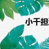 小千擔溝（關于小千擔溝簡介）