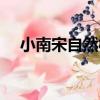 小南宋自然村（關于小南宋自然村簡介）