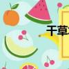 干草垛（關于干草垛介紹）