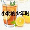 小北的少年時代（關于小北的少年時代簡介）