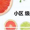 小區 級路（關于小區 級路簡介）