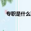 專職是什么職位（專門職位是什么意思）
