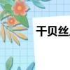 干貝絲瓜（關于干貝絲瓜介紹）