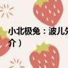 小北極兔：波兒外出歷險（關于小北極兔：波兒外出歷險簡介）