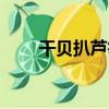 干貝扒蘆筍（關于干貝扒蘆筍介紹）