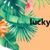 lucky pigeon（lucky pig）