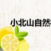 小北山自然村（關于小北山自然村簡介）
