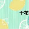 干花槿（關于干花槿介紹）