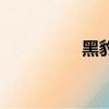 黑豹小卡車（黑豹小卡）