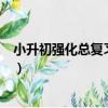 小升初強化總復習·數學（關于小升初強化總復習·數學簡介）