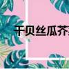 干貝絲瓜芥菜（關于干貝絲瓜芥菜介紹）