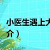 小醫生遇上大教授（關于小醫生遇上大教授簡介）