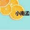 小南孟村（關于小南孟村簡介）