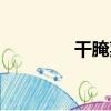 干腌菜（關于干腌菜介紹）