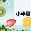 小半夏散（關于小半夏散簡介）