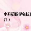 小升初數學名校真題精講（關于小升初數學名校真題精講簡介）