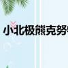 小北極熊克努特（關于小北極熊克努特簡介）